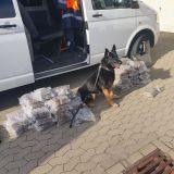 Drogenspürhund mit sichergestellten Betäubungsmitteln