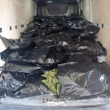 Sichergestelltes Cannabis