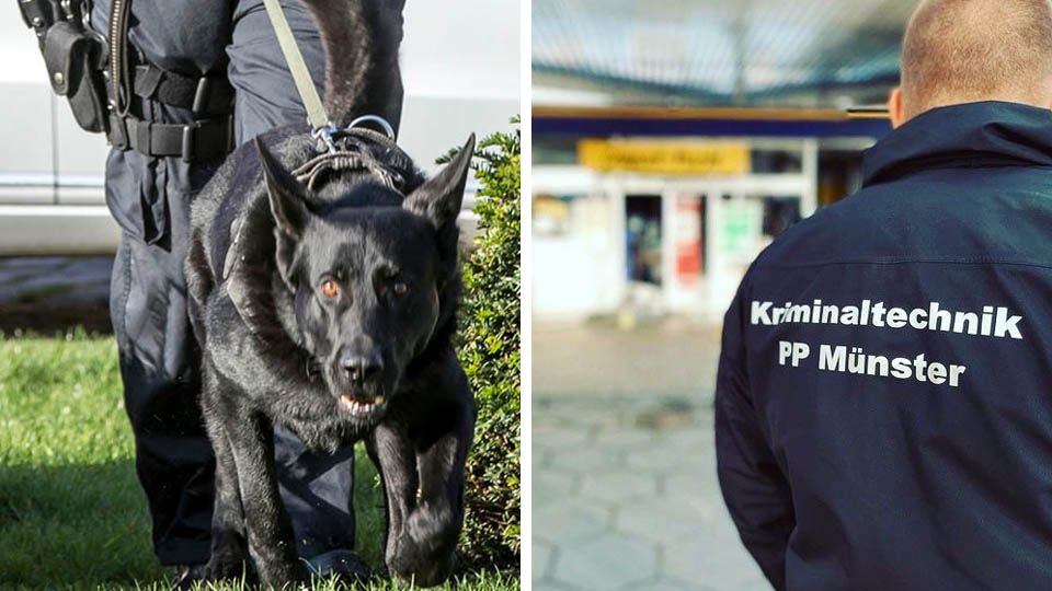 Bildercollage: Diensthund und Kriminaltechniker der Polizei Münster