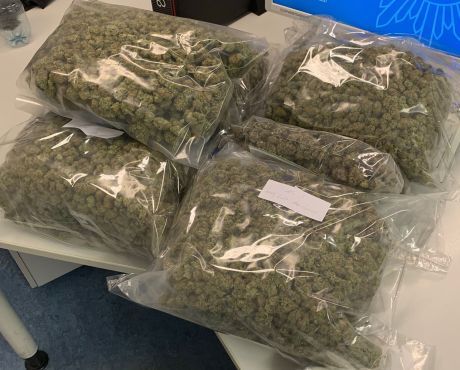 Foto: Polizei (Das Bild zeigt das sichergestellte Marihuana)