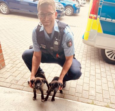 Polizist mit zwei Hundewelpen
